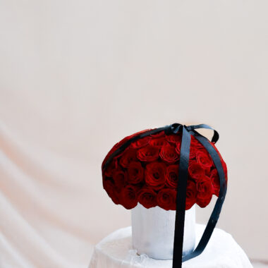 Red Rose Embrace